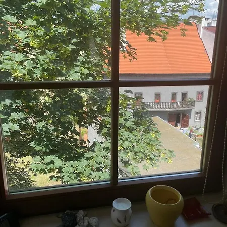 Charlie שב