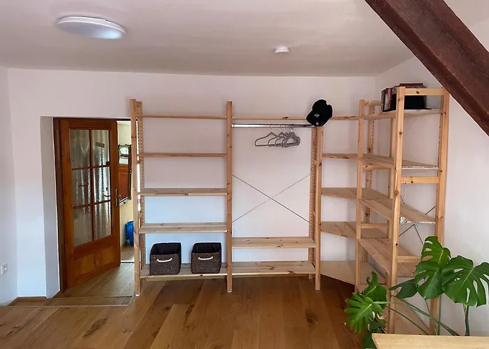 Charlie Apartment