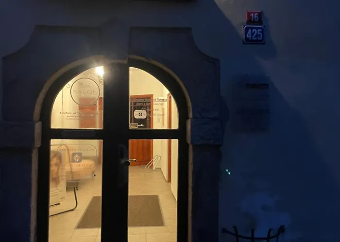 Apartment Charlie Cheb